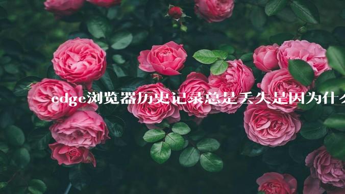 edge浏览器历史记录总是丢失是因为什么原因？有没有什么解决办法？