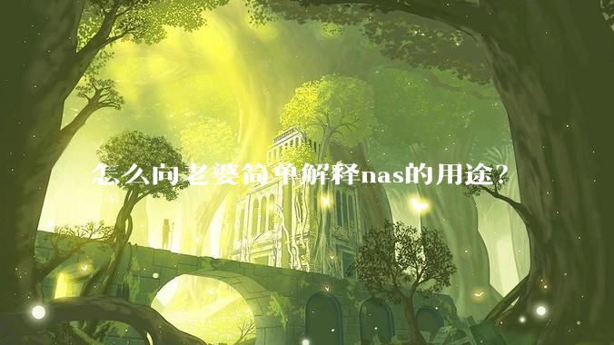 怎么向老婆简单解释nas的用途？