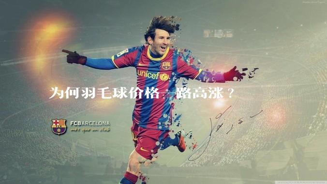 为何羽毛球价格一路高涨?
